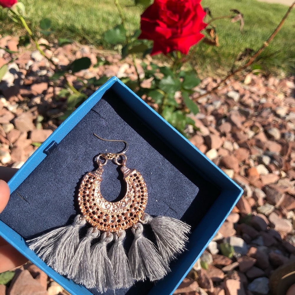 Earrings